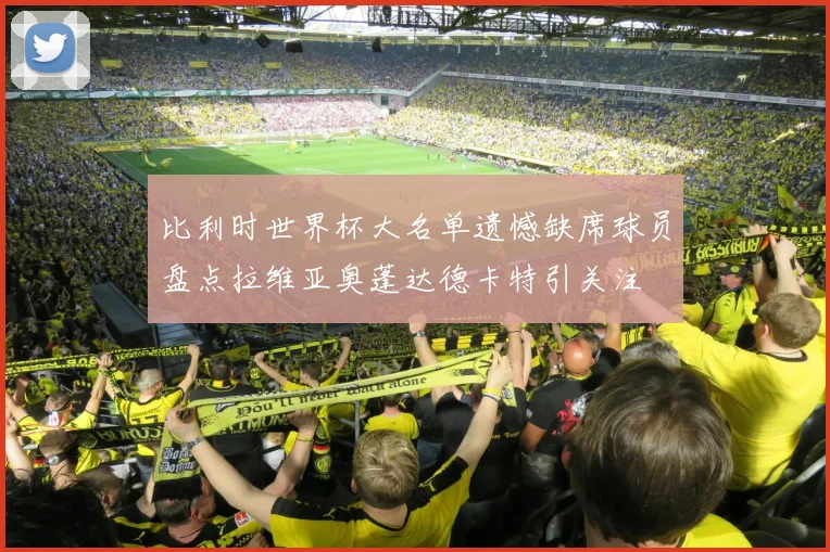 比利时世界杯大名单遗憾缺席球员盘点拉维亚奥蓬达德卡特引关注